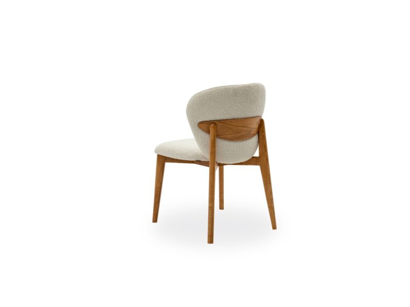 Dome Vol1 Dining Chair