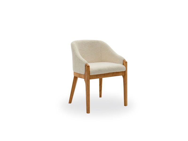 Dome Vol2 Dining Chair