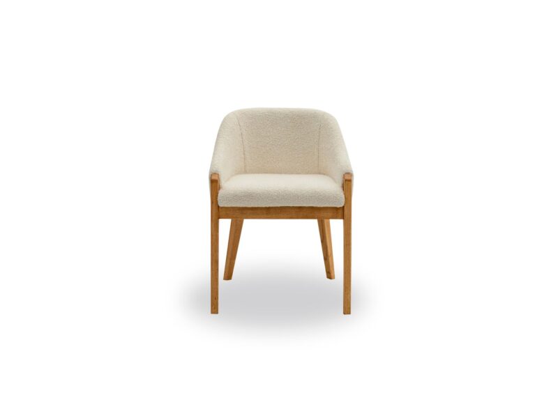 Dome Vol2 Dining Chair