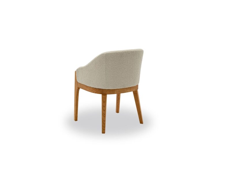 Dome Vol2 Dining Chair