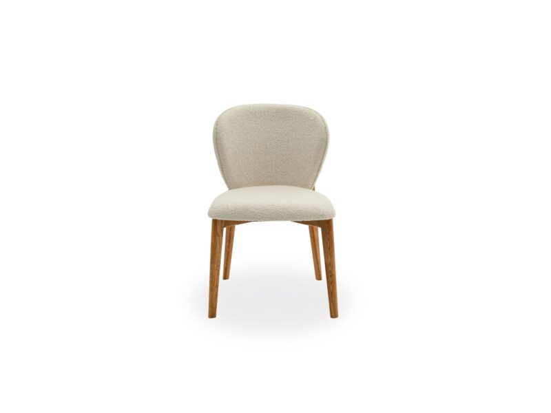 Dome Vol1 Dining Chair