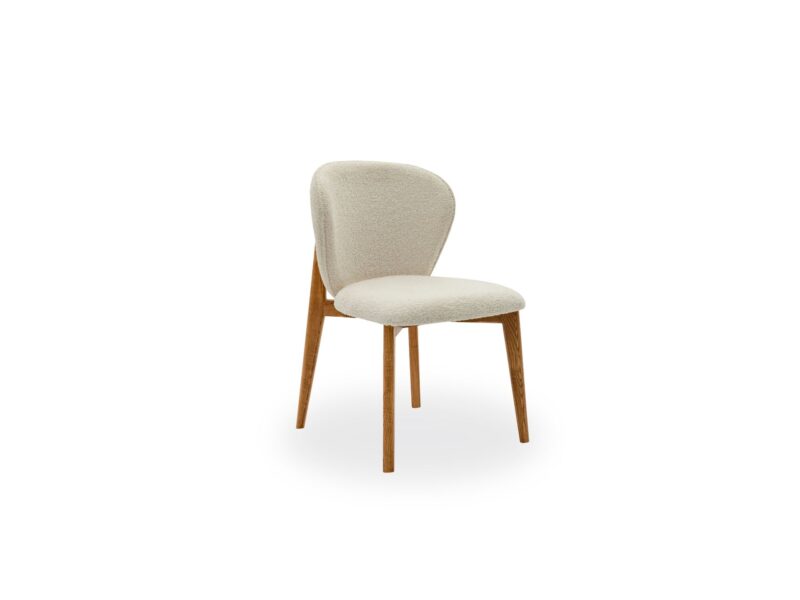 Dome Vol1 Dining Chair